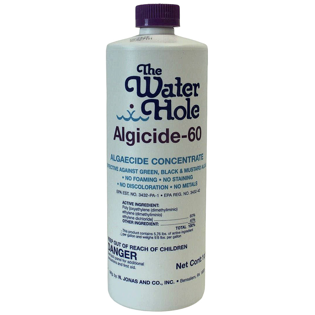 The Water Hole Algicide-60 pool maintenance product concentrate for above-ground and in-ground pools